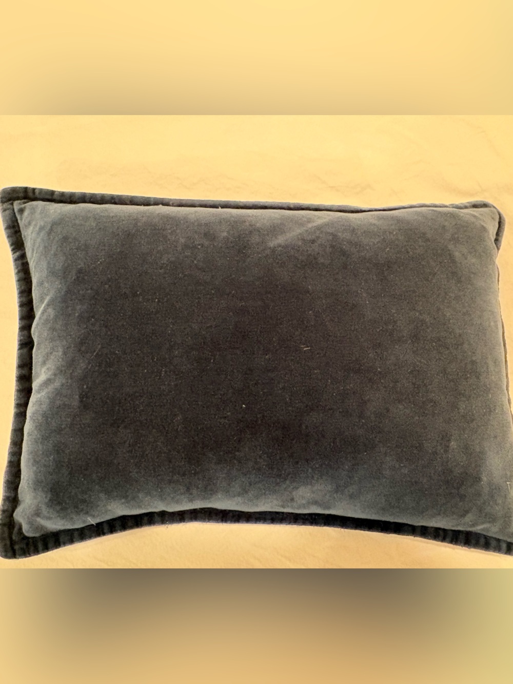 Crate & Barrel Navy Velvet 18x12 Throw Pillow Feather Insert